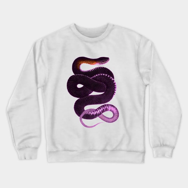 serpent,cobra,reptile,viper,venom,lizard,rattlesnake,king cobra,dragon,hydra,poison,venomous,plumber's snake,pythonidae,pythons,auger,python,squamata,serpentine,worm,big,ophidian,rattlesnakes,medusa,snakebite Crewneck Sweatshirt by vabontchi